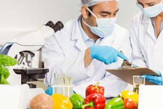be your food supplement formulation chemist