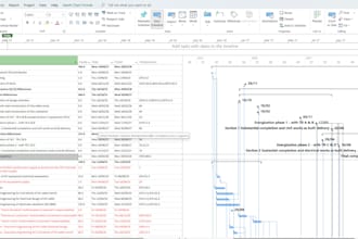 provide ms project support for your business