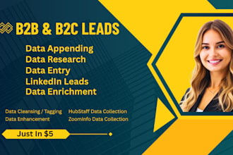company data enrichment, data collection, data appending, lead enrichment