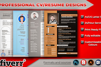 design a professional resume and cv to the next level