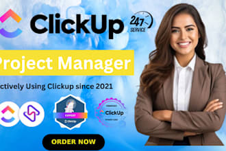 setup custom systems, workflows and automate tasks in clickup