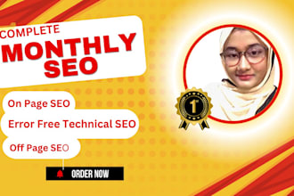 provide complete monthly SEO service for top rankings
