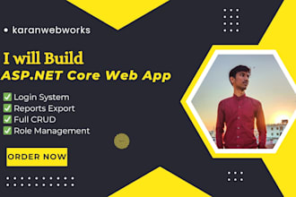 develop a professional asp dot net core web application with admin panel