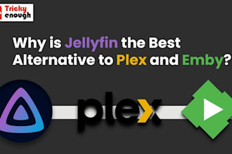 setup and congfigure plex, emby, jellyfin, preroll, sonarr, radarr media server