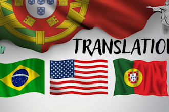 translate any document from english to portuguese professionally