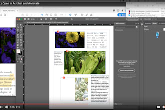 design interactive fillable PDF form or planner using adobe acrobat or indesign