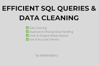 write efficient sql queries and clean your data in 24h