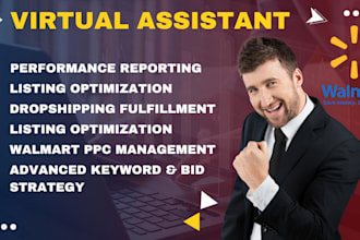 expert virtual assistant for walmart PPC, listing optimization and dropshipping