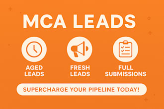 provide best mca leads of all types with statements