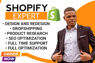 build shopify store design,shopify store redesign,shopify dropshipping store,