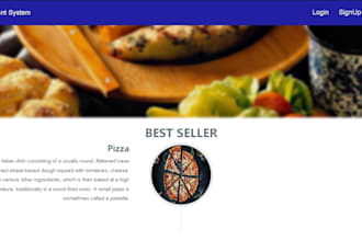 create a professional web mobile application