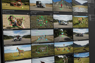 do image and video annotation, labeling for ai and ml