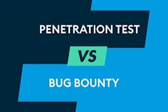 perform website penetration testing for vulnerabilities bug bounty pentest
