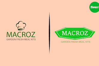 design, redesign, modify, vectorize logo and graphic