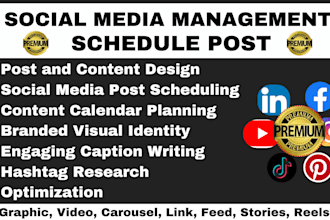 be your social media manager create and schedule post weekly on social media