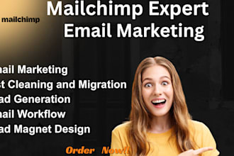 do email list cleaning and migration,lead magnet design,lead generation,workflow