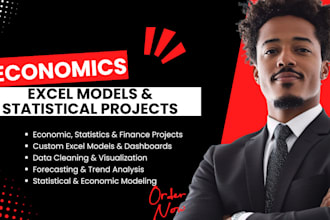 help with your economics, excel, statistics, and integrated statistics projects