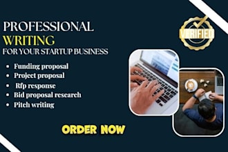 write investor ready  plan for your startup funding bid proposal business