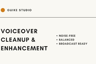 remove noise, level, and polish your voiceover audio
