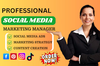 be your social media marketing manager, facebook, tiktok ads, content creator