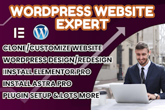 design clone develop revamp your wordpress website using elementor and astra pro