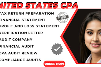 build a US CPA financial statement, US tax returns, llc tax, business tax, CPA
