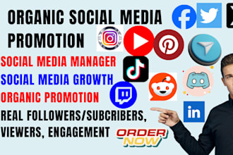 grow your tiktok and instagram with expert social media marketing