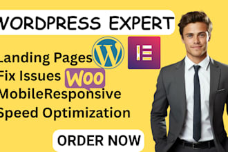 create rebuild wordpress website woocommerce with elementor