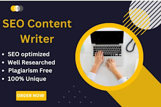 be professional  content writer