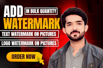 add a text watermark and logo watermark in bulk