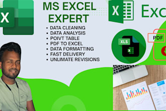 do excel data cleaning and analysis, data visualizations, data cleanup