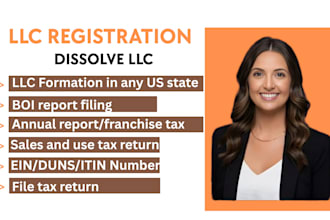 do us llc registration, ein, dissolve llc, amend, reinstate llc, file tax return