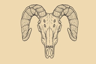 create stunning custom line art for you