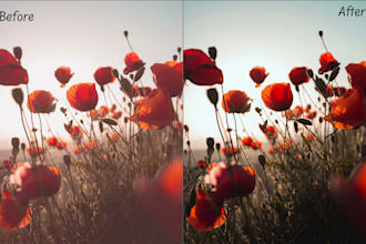 edit and retouch images for you