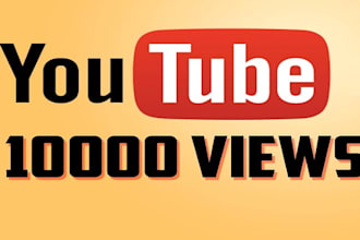 do add 1000 youtube views, followers watch time for monetization