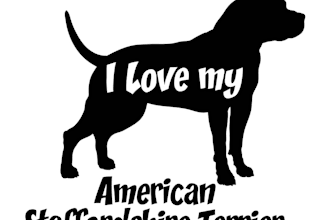 design original and wonderful wild dog logo