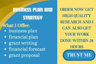 write business plan, financial plan, financial forecast, and grant proposal