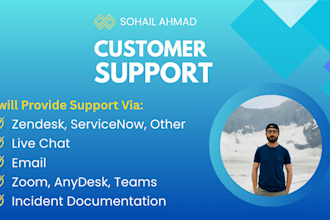 provide professional customer support via email, chat, or ticketing systems