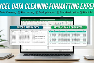 data cleaning formatting and excel data analysis