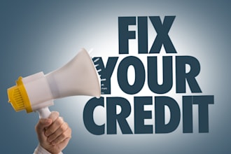 be software developer, credit repair, inquiry removal, charge off, dispute fox