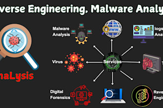 do reverse engineering, malware analysis, and log analysis