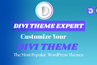customize divi elegant theme