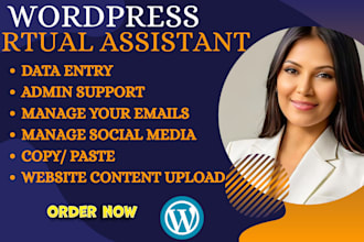 virtual assistant for admin tasks, wordpress , social media marketing management