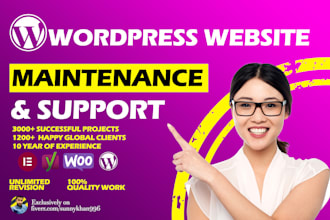 provide monthly wordpress website maintenance and support