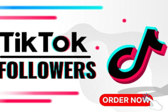 do tiktok monetization program, tiktok organic followers, drive tiktok sales