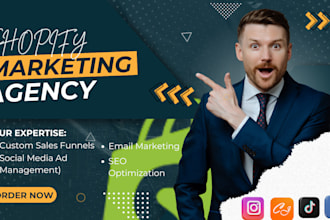do shopify marketing, SEO, paid ads,dropshipping promotion with driving traffic