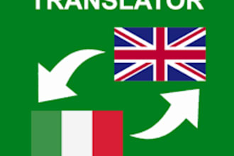 profesionaly translate your document, book, etc