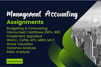do accounting and finance assignments, financial analysis report, excel projects