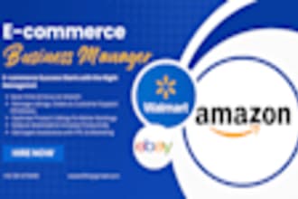 manage and optimize your amazon, walmart, and ebay store professionally