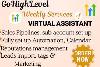 gohighlevel landing page gohighlevel website gohighlevel sales funnel ghl expert